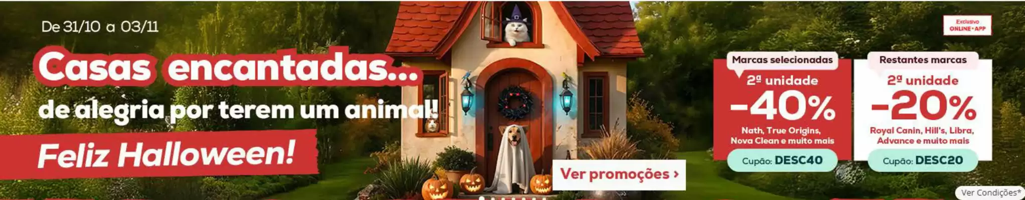 Folheto Kiwoko (válido até 3-11)