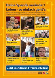 MPS Austria Flugblatt Seite 2