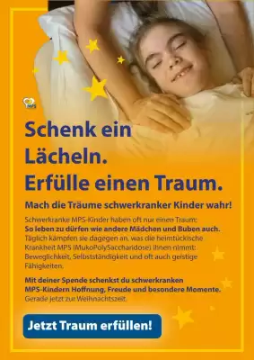 MPS Austria Flugblatt (gültig bis 31-12)