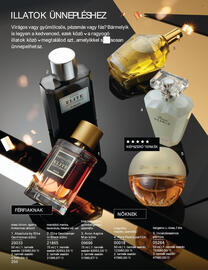 AVON katalógus Oldal 250