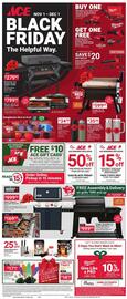 Ace Hardware flyer Page 1