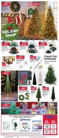 Ace Hardware flyer Page 4