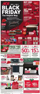 Ace Hardware flyer (valid until 1-12)