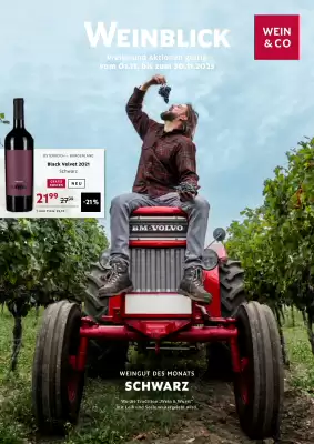 Wein & Co Flugblatt (gültig bis 30-11)