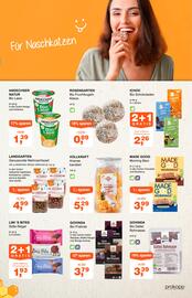 Prokopp Flugblatt Seite 7