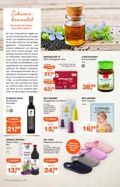 Prokopp Flugblatt Seite 8