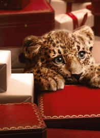 Catálogo Palacio de Hierro Página 4