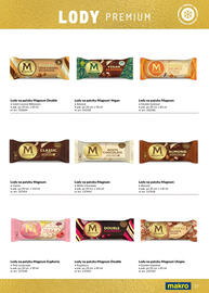 Makro gazetka Strona 17