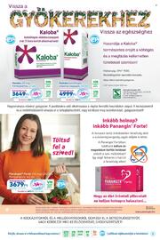 Gyöngy Patikák akciós újság Oldal 3