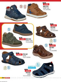 Catálogo Cklass Página 276