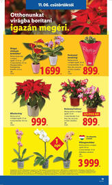 Lidl akciós újság hét 45 Oldal 19