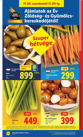 Lidl akciós újság hét 45 Oldal 22