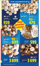 Lidl akciós újság hét 45 Oldal 3