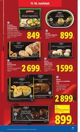 Lidl akciós újság hét 45 Oldal 43