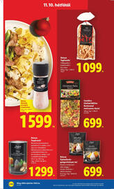 Lidl akciós újság hét 45 Oldal 50