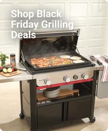 Ace Hardware flyer week 44 Page 1