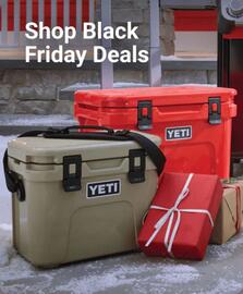 Ace Hardware flyer week 44 Page 17