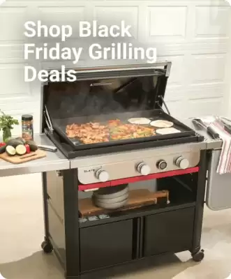 Ace Hardware flyer (valid until 7-11)