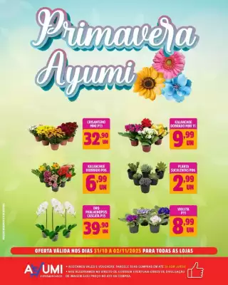 Folheto Ayumi Supermercados (válido até 2-11)
