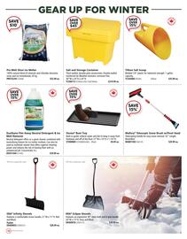 Covey Basics flyer Page 10