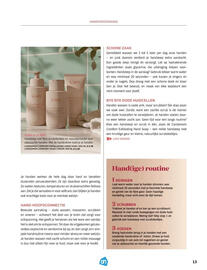 Albert Heijn folder Pagina 13