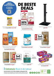 Intratuin folder week 45 Pagina 2