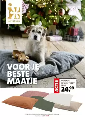 Intratuin folder (geldig t/m 9-11)