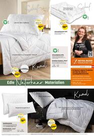 Reiter Flugblatt Seite 5