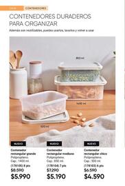 Catálogo Avon Página 25