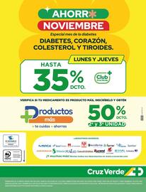 Catálogo Cruz Verde Página 13