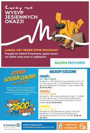 E.Leclerc gazetka tydzień 45 Strona 16