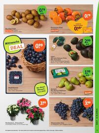 Tegut Prospekt woche 45 Seite 5