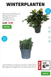 Intratuin folder week 45 Pagina 2