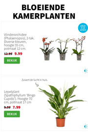 Intratuin folder week 45 Pagina 3