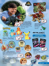 Vedes Prospekt Seite 11