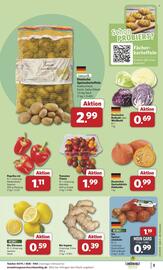 Combi Prospekt woche 45 Seite 3