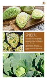 REMA 1000 tilbudsavis Side 7