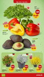 PENNY DE folder week 45 Pagina 5