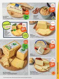 Basic Prospekt Seite 11