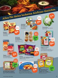 Basic Prospekt Seite 15