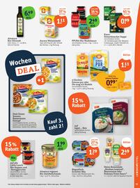 Basic Prospekt Seite 17