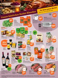 Basic Prospekt Seite 2