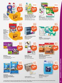 Basic Prospekt Seite 21