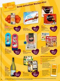 Basic Prospekt Seite 22