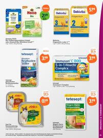 Basic Prospekt Seite 27