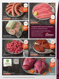 Basic Prospekt Seite 7