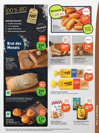 Basic Prospekt Seite 9