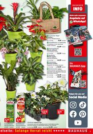 Bauhaus Prospekt Seite 9