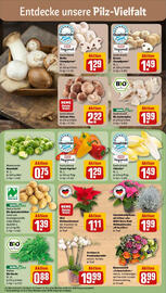 REWE Prospekt woche 45 Seite 7