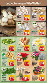 REWE Prospekt woche 45 Seite 7